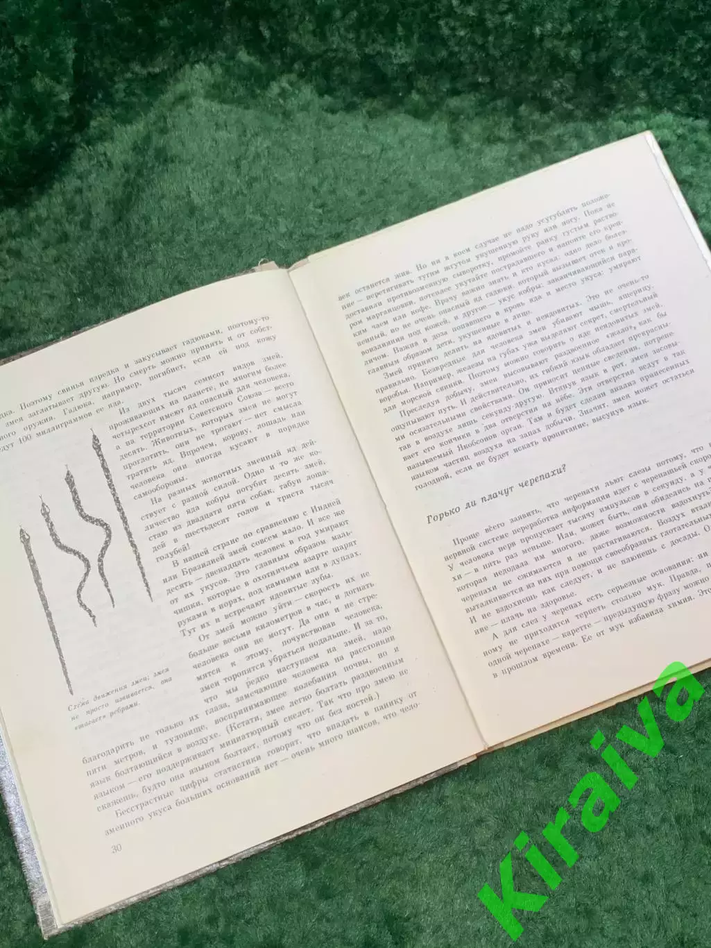 Книга детская научно-художественная «Почему у белого пуделя чёрный нос?» (Н8110) 4