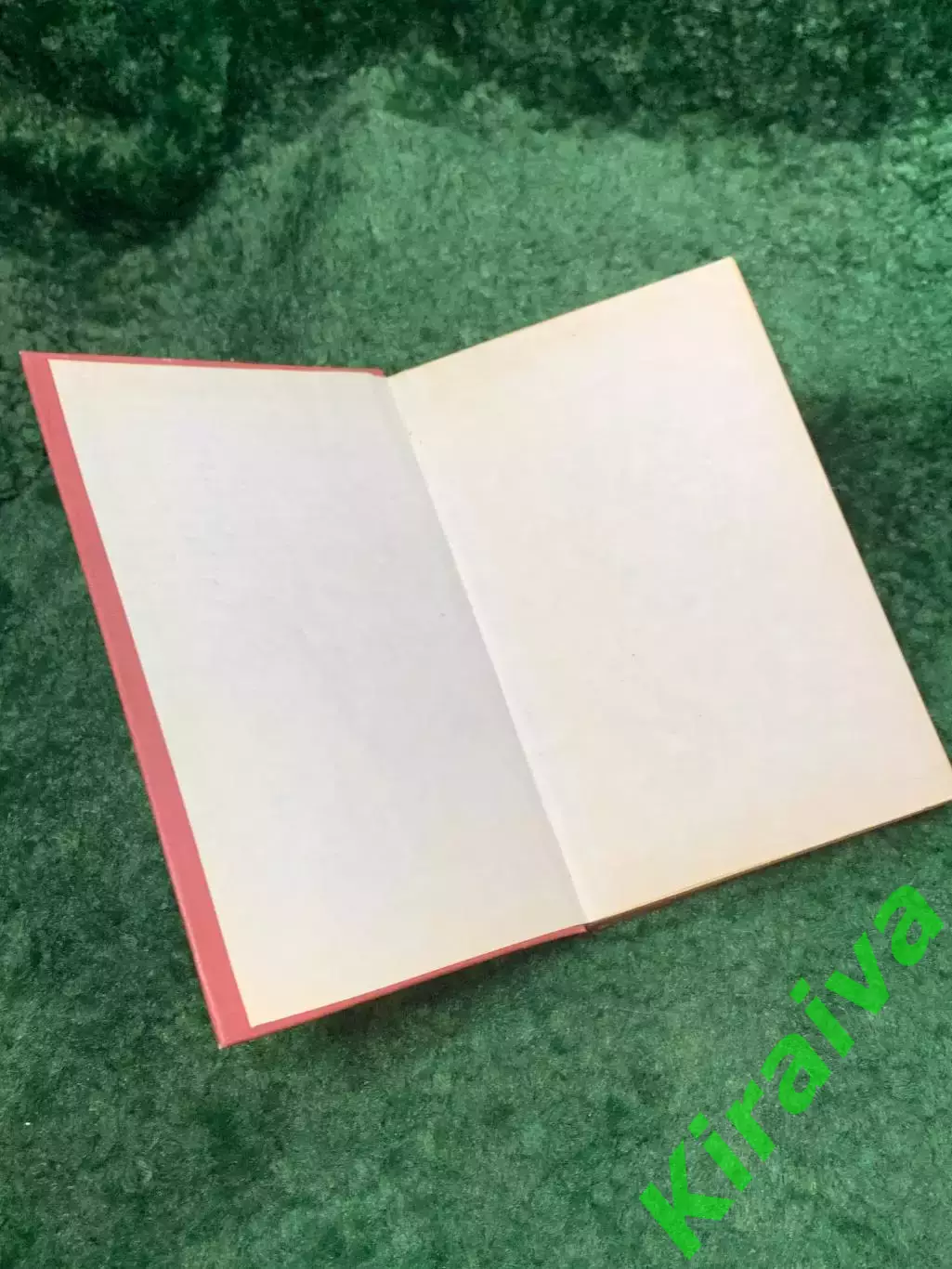Книга историко-приключенческий роман «Хозяйка Блосхолма» Райдер Хаггард Н8113 1