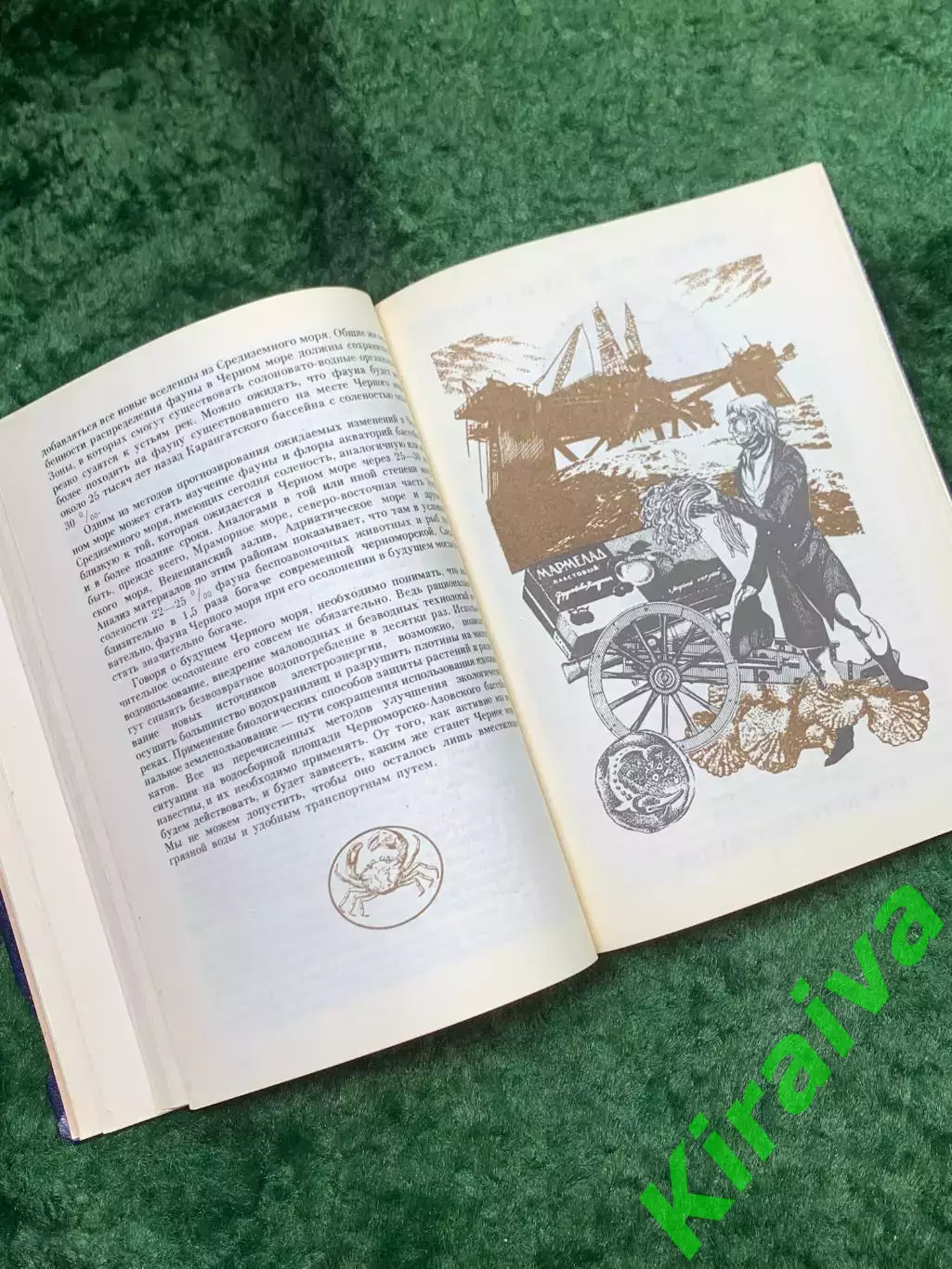 Книга сборник очерков «Черноморские румбы» Т. Г. Короткий 1989 г. Маяк Н8139 4