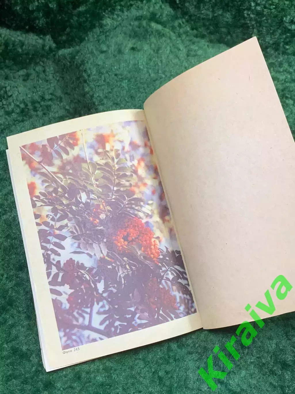 Книга «Иллюстрированное пособие по обучению фотосъемке» Л. Д. Курский, Я. Н8140 5