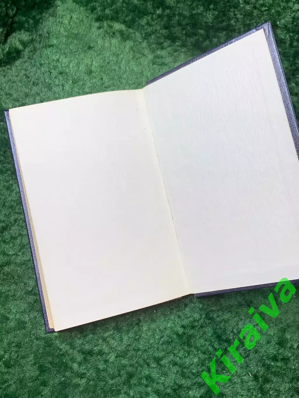 Книга «Конструирование женских пальто сложных форм и покроев» И. М. Братчи Н8146 7