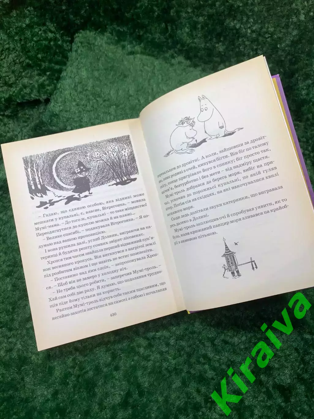 Книга «Країна Мумі-тролів. Книга 2» Туве Янссон Старого Лева 2016 г. (Н8158) 5