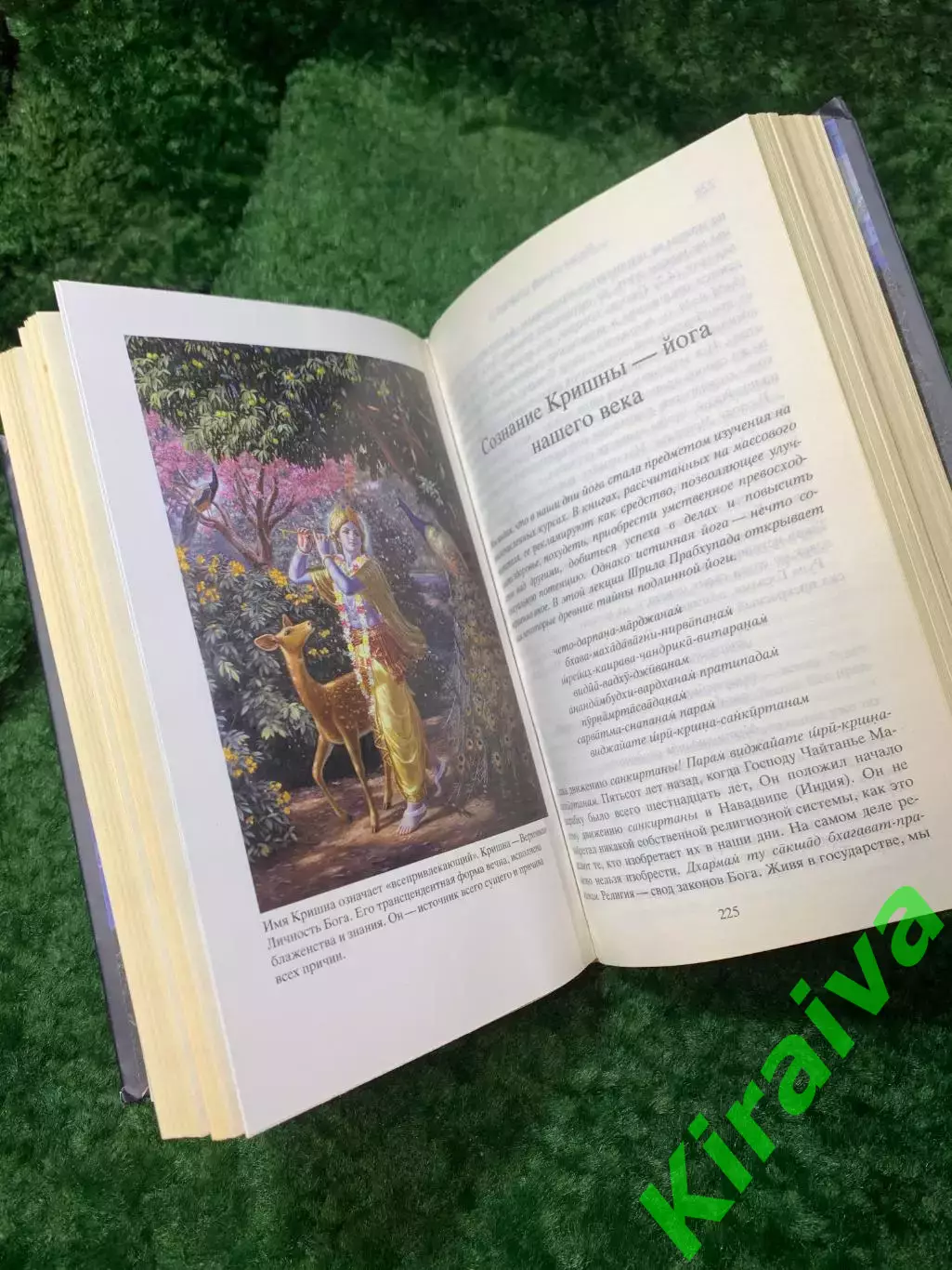 Книга «Наука самоосознания» А. Ч. Бхактиведанта Свами Прабхупада 2014 г. (Н8159) 5