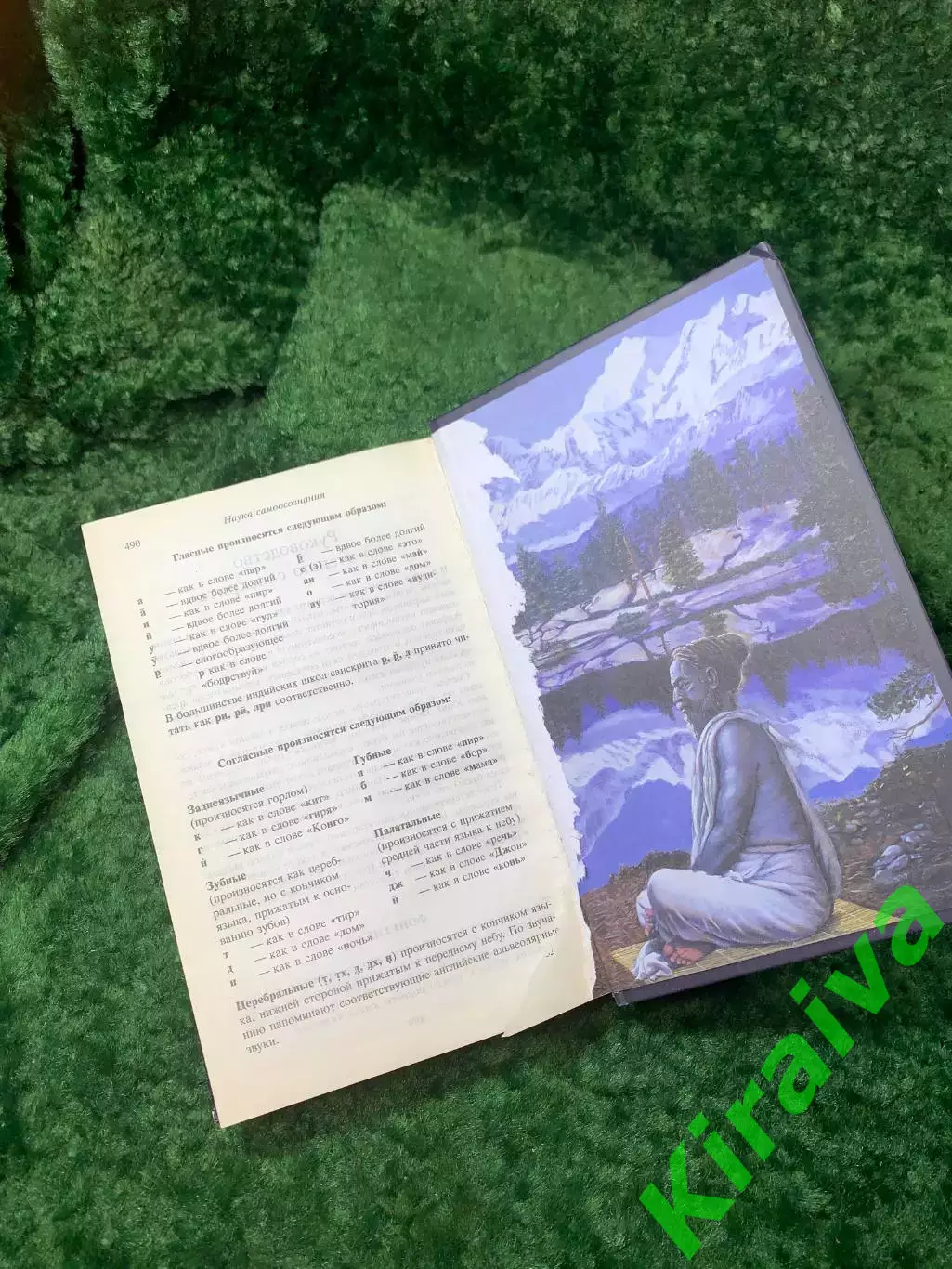 Книга «Наука самоосознания» А. Ч. Бхактиведанта Свами Прабхупада 2014 г. (Н8159) 7