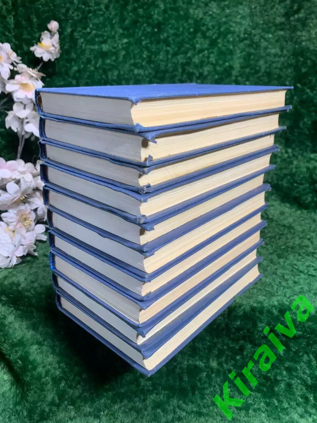 Книга собрание сочинений в 10 томах А. С. Пушкин 1981 г. (Н8202) 2