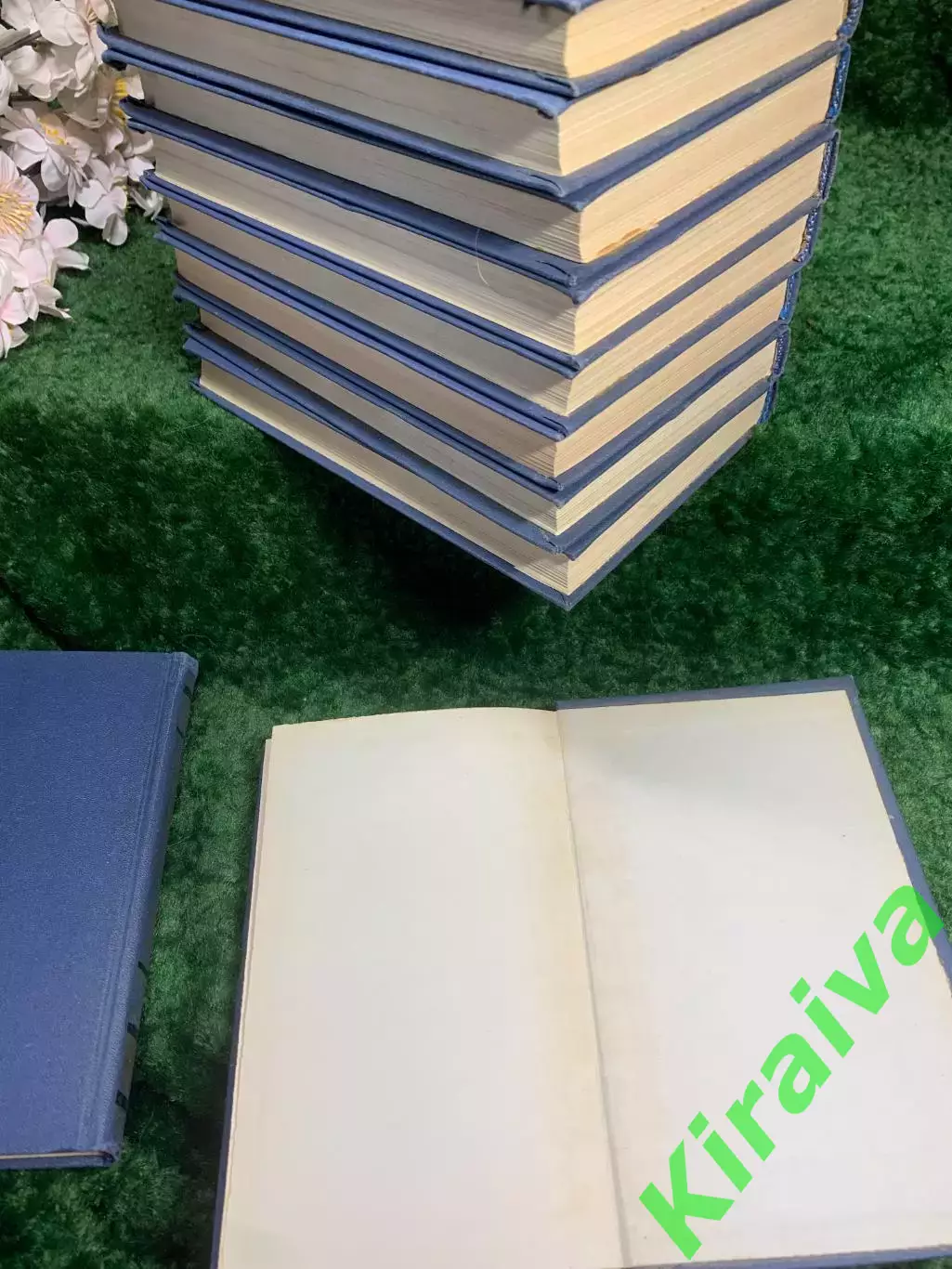 Книга собрание сочинений в 10 томах А. С. Пушкин 1981 г. (Н8202) 5