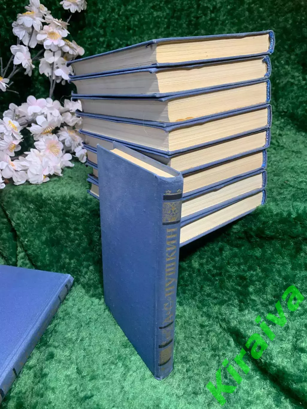 Книга собрание сочинений в 10 томах А. С. Пушкин 1981 г. (Н8202) 6