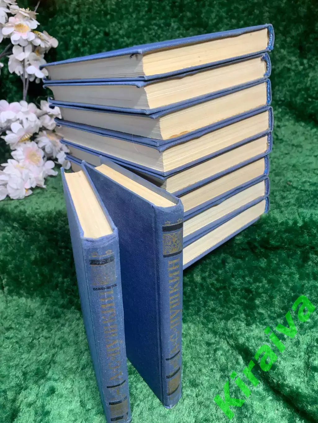 Книга собрание сочинений в 10 томах А. С. Пушкин 1981 г. (Н8202) 7