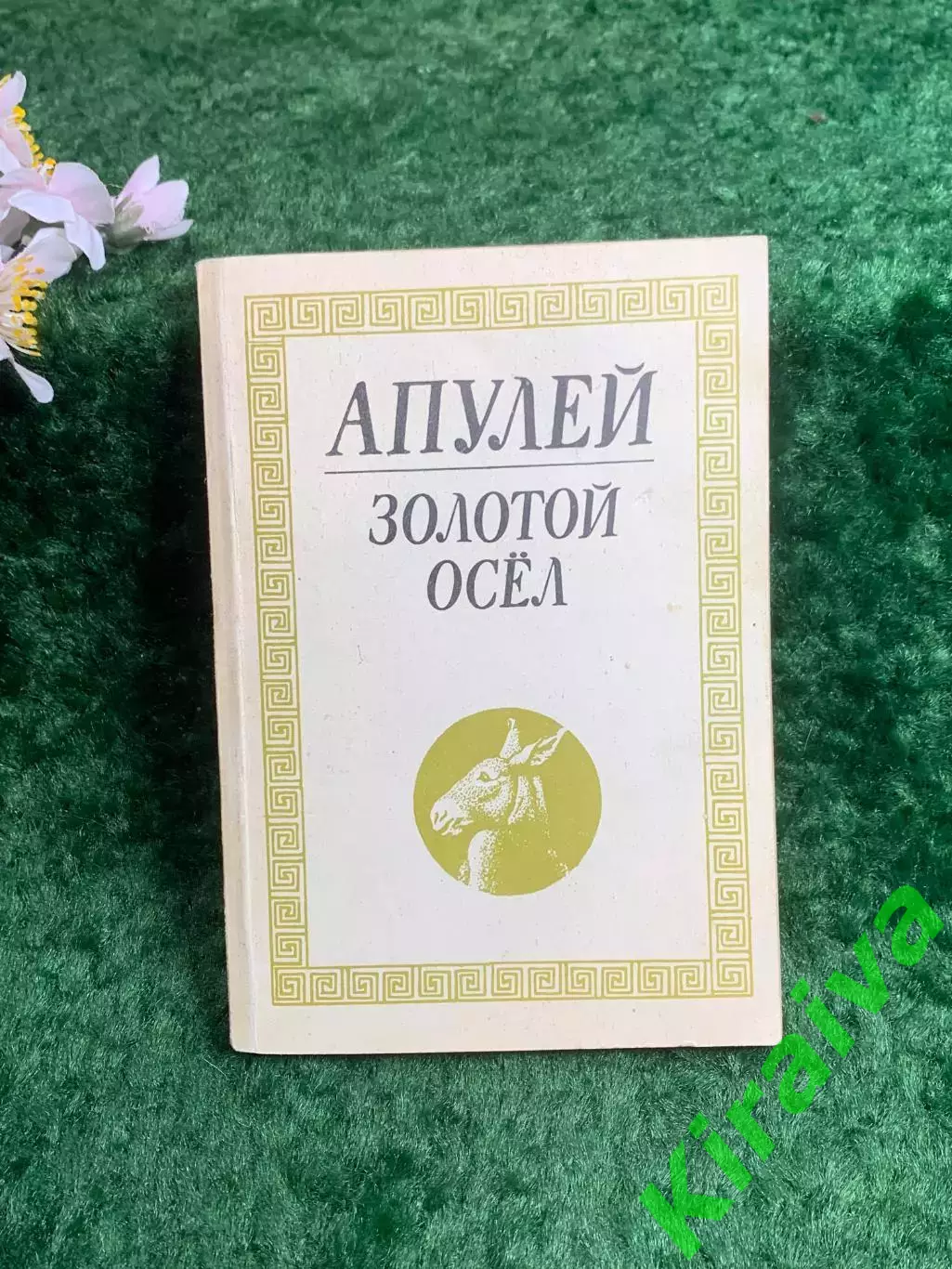 Книга античный роман сатирика «Золотой осёл» («Метаморфозы») Луций Апулей Н8207