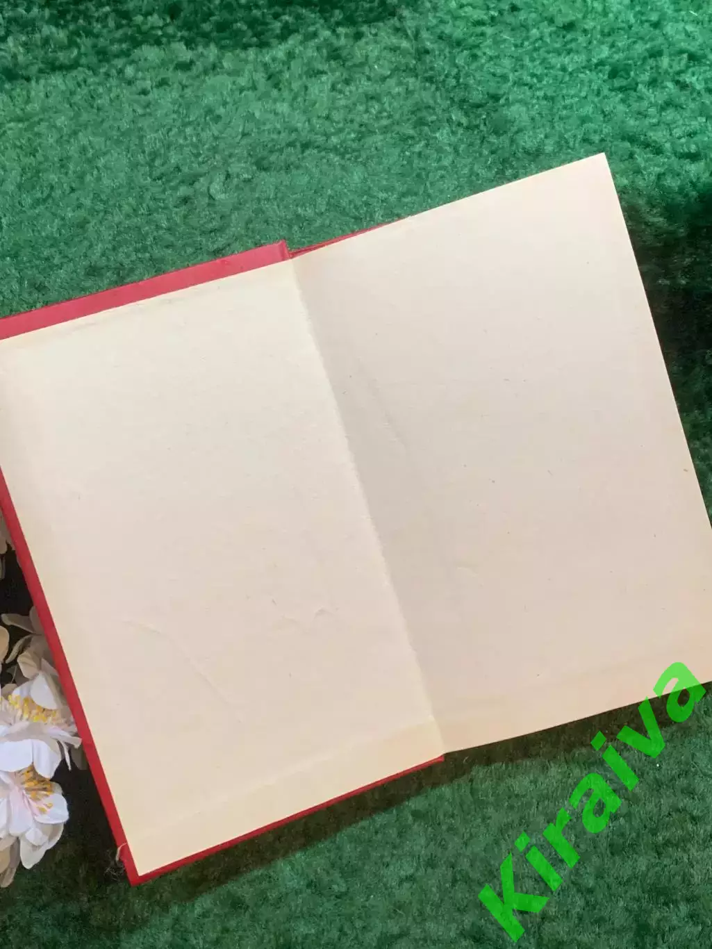 Книга историко-прик роман «Пираты Мексиканского залива» Висенте Паласио(Н8253) 1