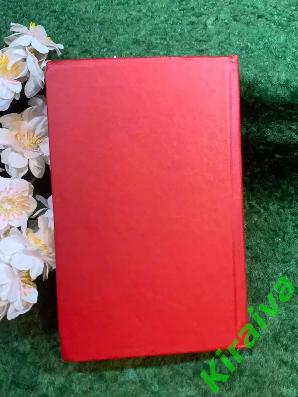 Книга историко-прик роман «Пираты Мексиканского залива» Висенте Паласио(Н8253) 6