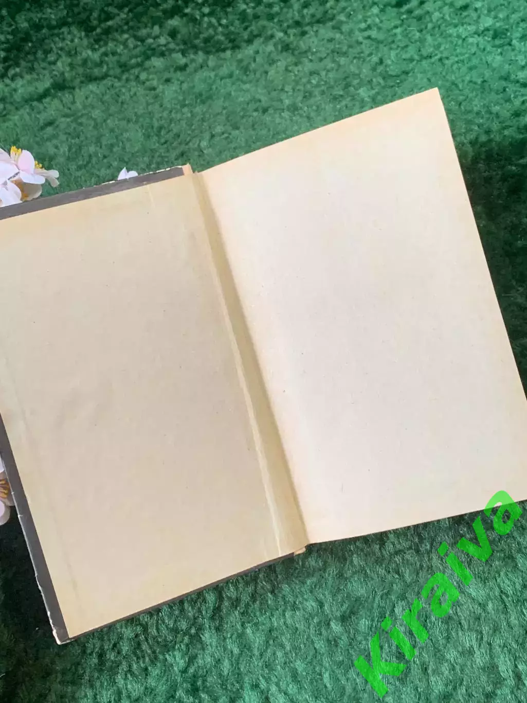 Книга приключенческий роман «По живу і мертву воду» Микола Далекий 1968 (Н8255) 1