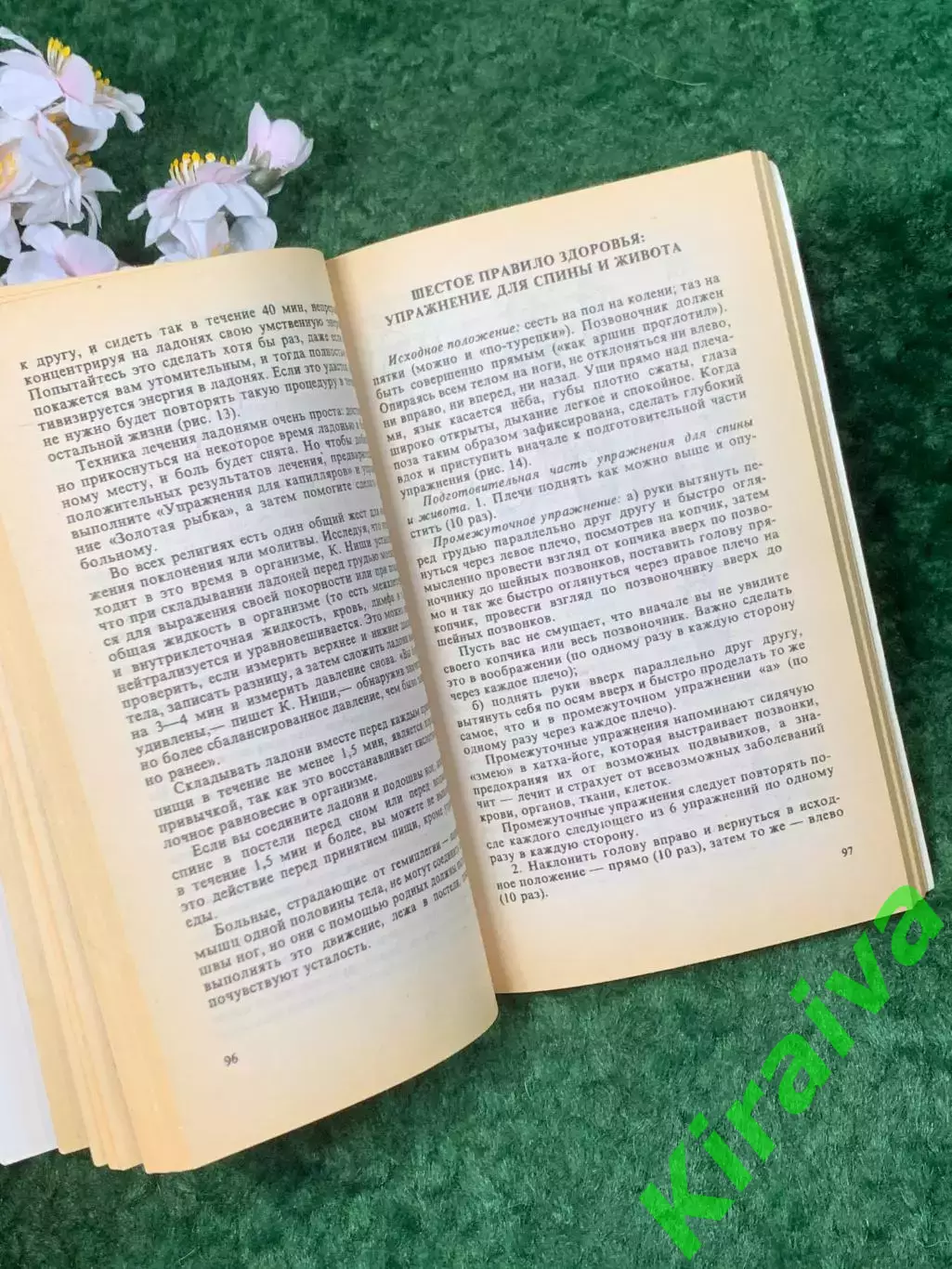 Книга методы оздоровления «Попрощайтесь с болезнями» Майя Гогулан 1998 г. (Н8258 3