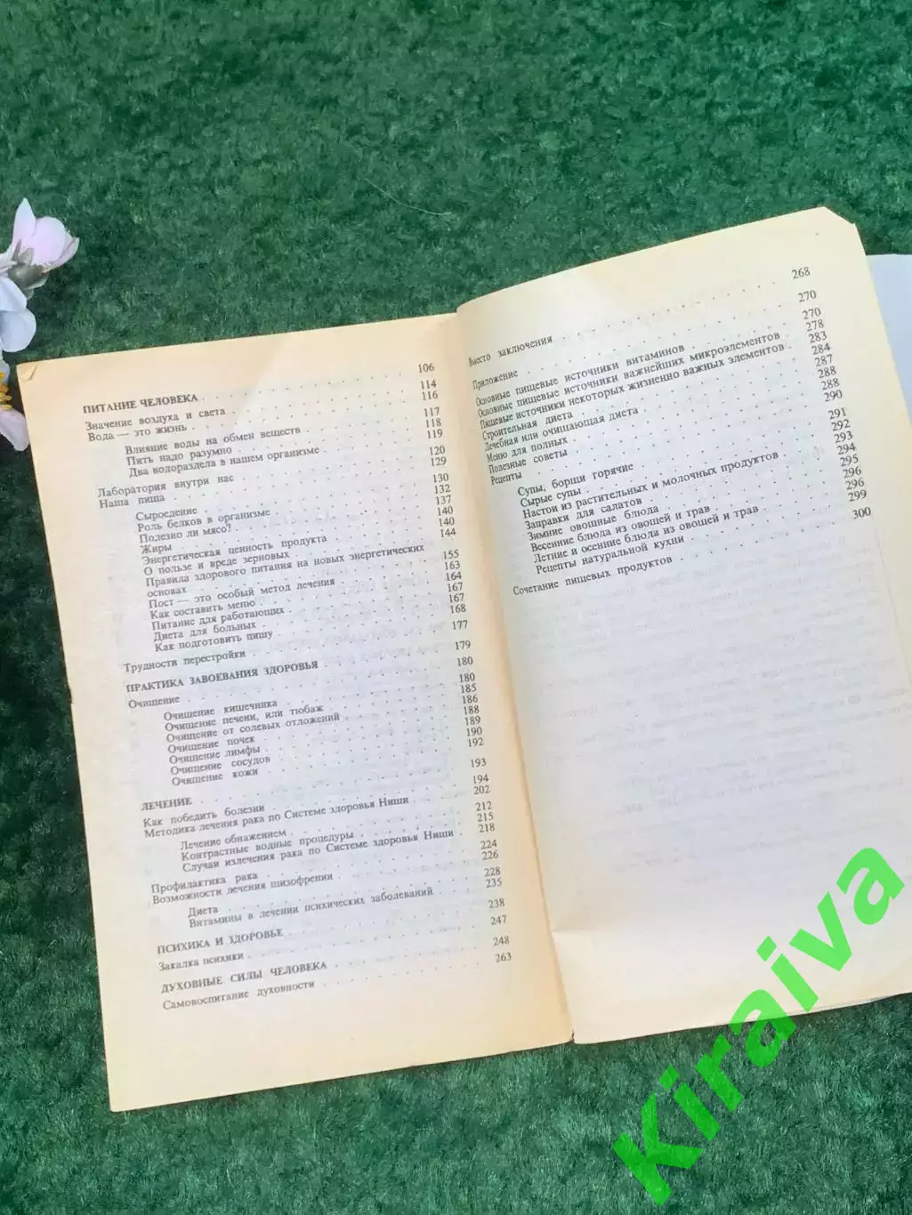 Книга методы оздоровления «Попрощайтесь с болезнями» Майя Гогулан 1998 г. (Н8258 5