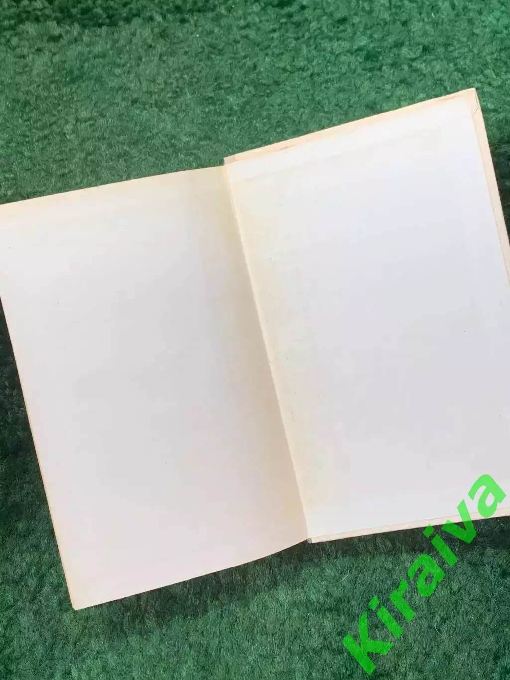 Книга сборник избранных романов «Избранное» И. С. Тургенев 1979 г. (Н8260) 6