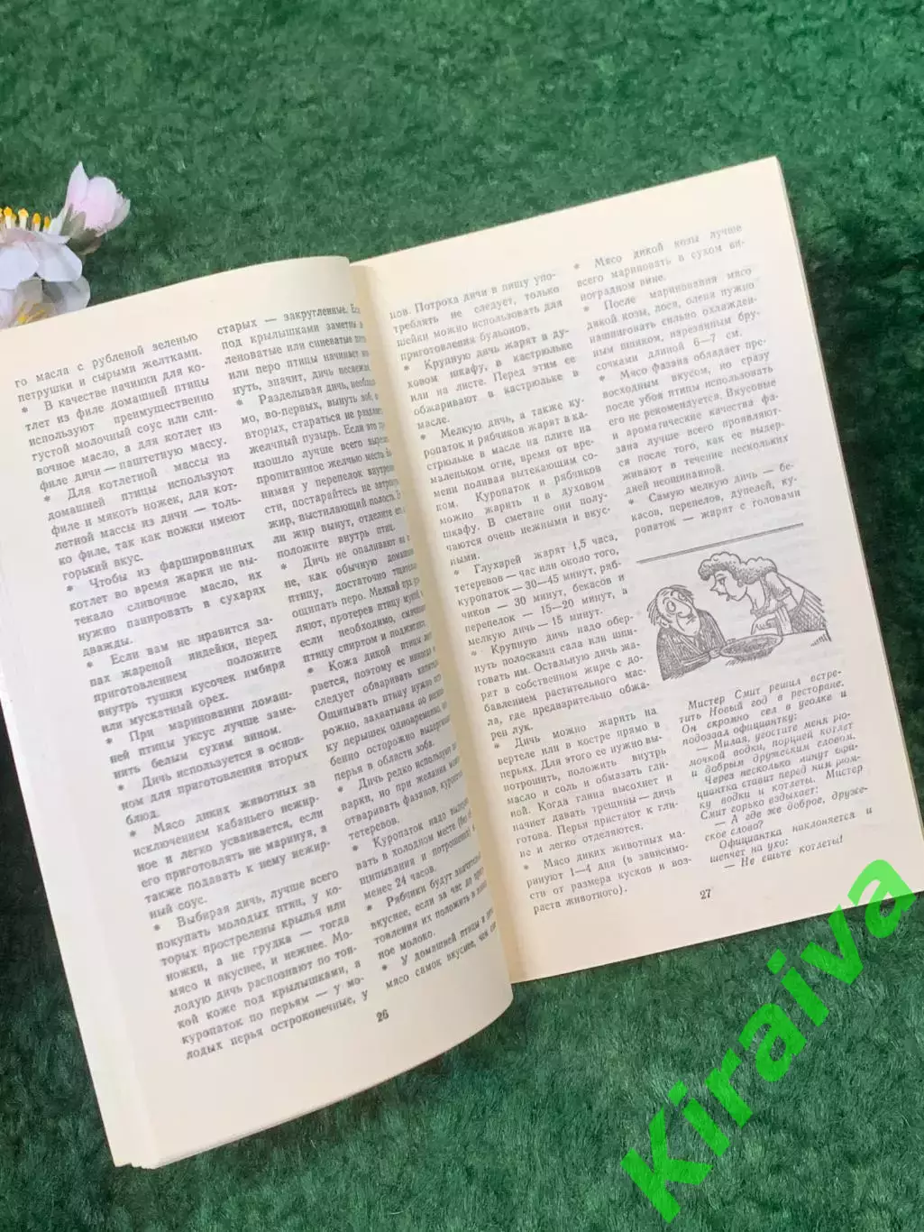 Книга практическое кулинарное руководство «Советы кулинара» И. Фельдма (Н8265) 3