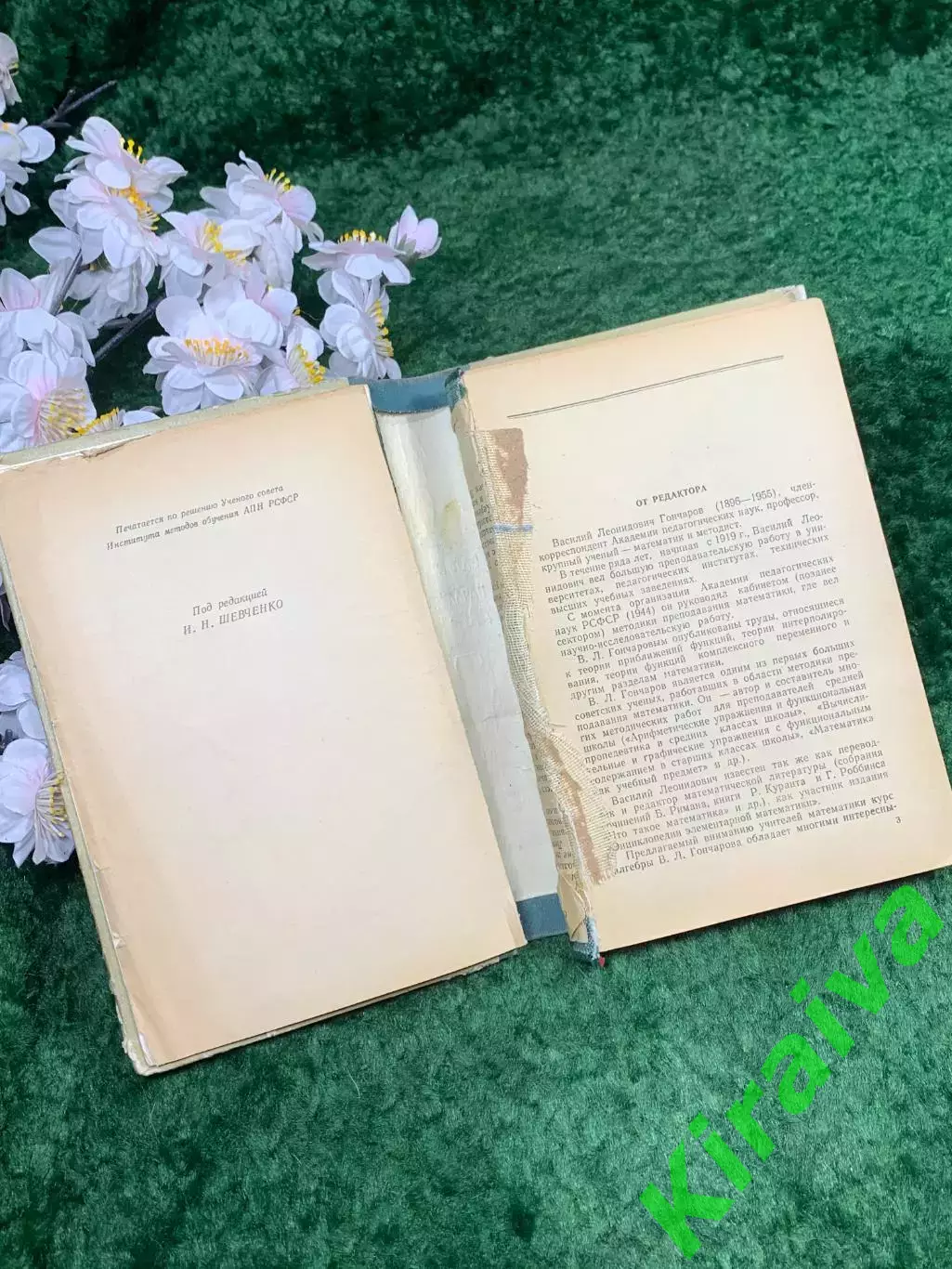 Книга научно-педагогическое пособие «Начальная алгебра» В. Л. Гончаров,(Н8304) 3