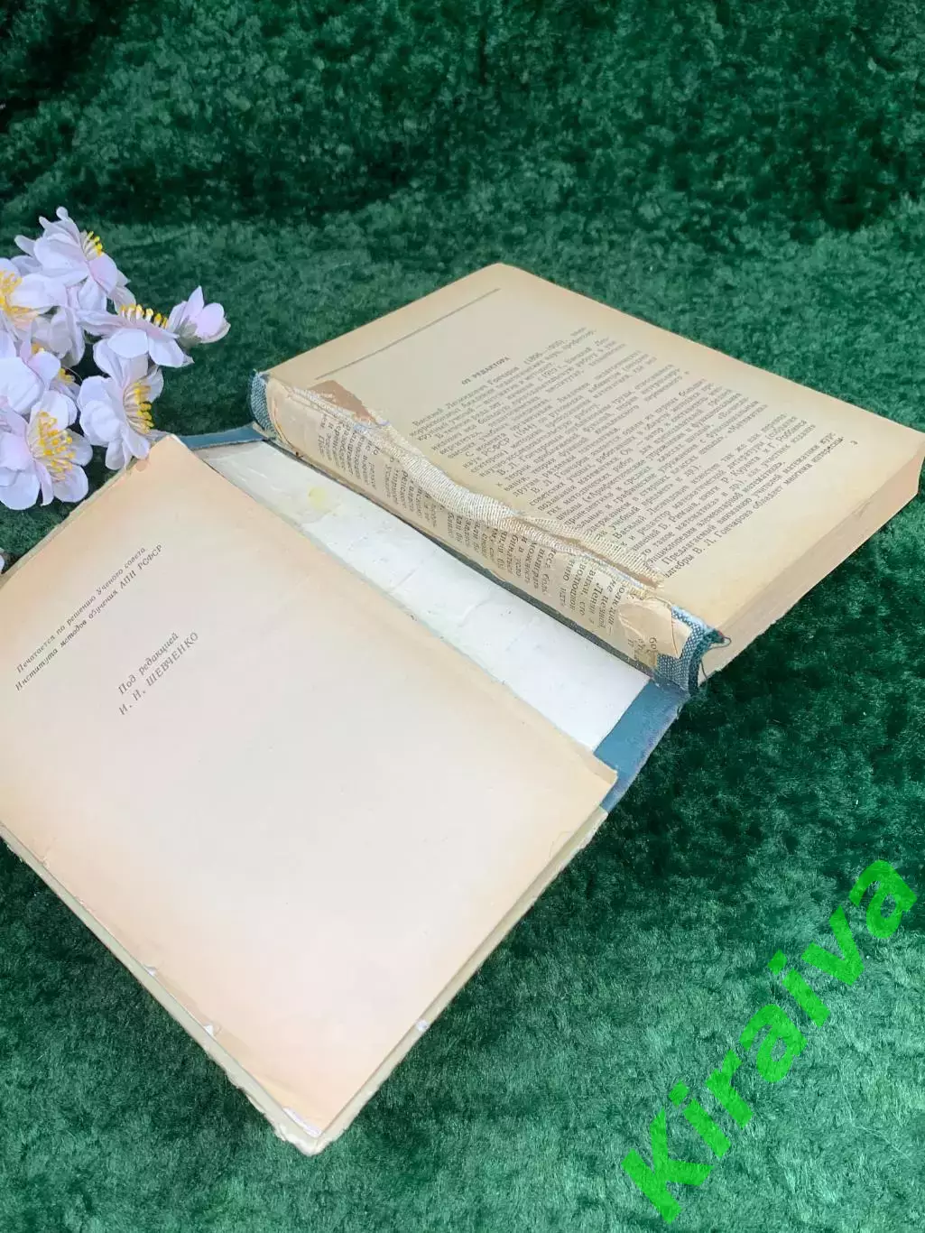 Книга научно-педагогическое пособие «Начальная алгебра» В. Л. Гончаров,(Н8304) 4