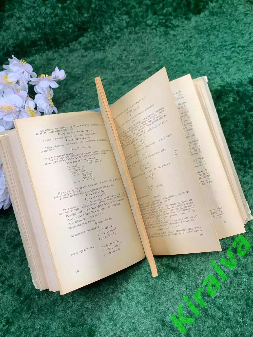 Книга научно-педагогическое пособие «Начальная алгебра» В. Л. Гончаров,(Н8304) 5