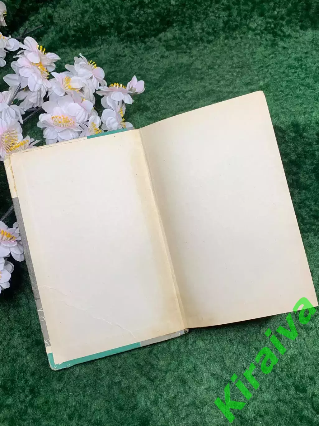Книга биографическая книга «Пирогов» В. И. Порудоминский, ЖЗЛ, 1965 г. (Н8311) 1