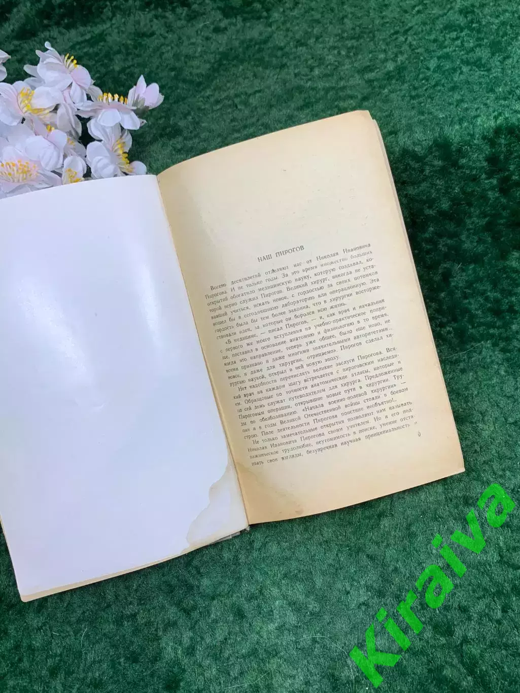 Книга биографическая книга «Пирогов» В. И. Порудоминский, ЖЗЛ, 1965 г. (Н8311) 4