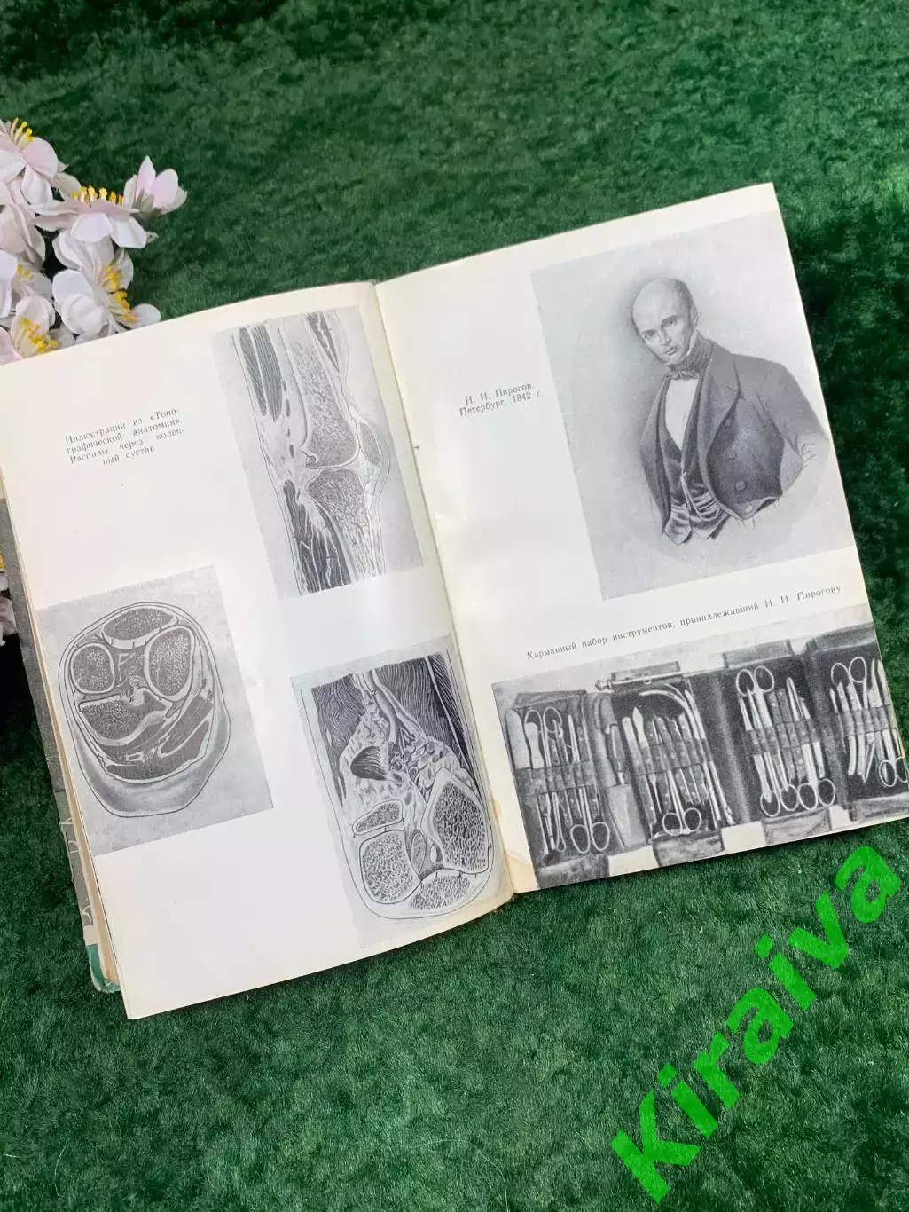 Книга биографическая книга «Пирогов» В. И. Порудоминский, ЖЗЛ, 1965 г. (Н8311) 5