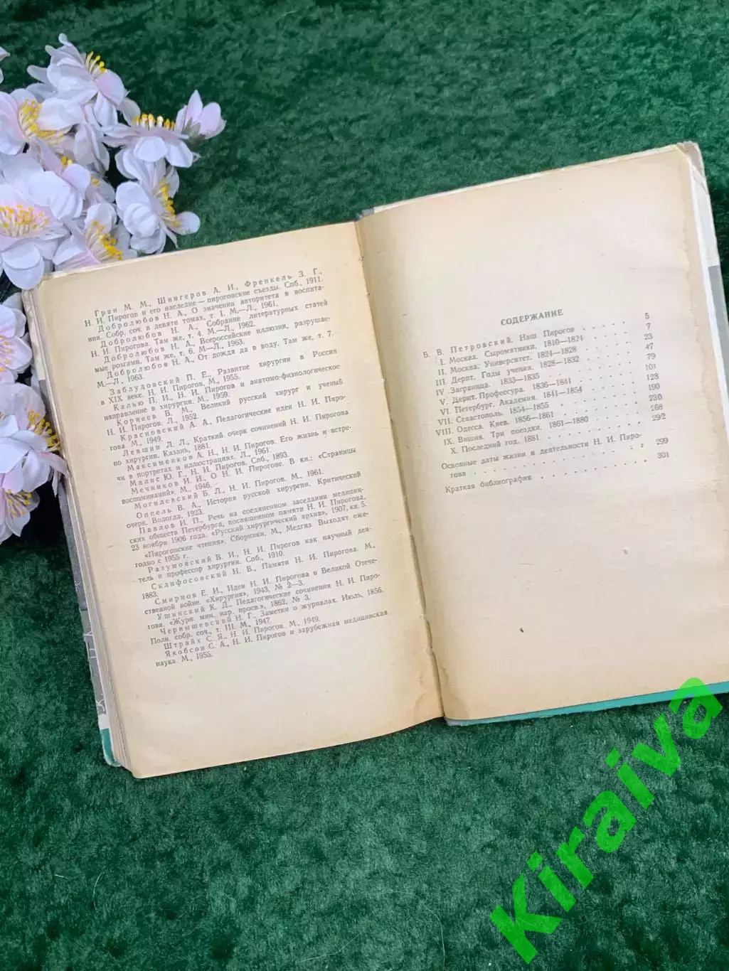 Книга биографическая книга «Пирогов» В. И. Порудоминский, ЖЗЛ, 1965 г. (Н8311) 7