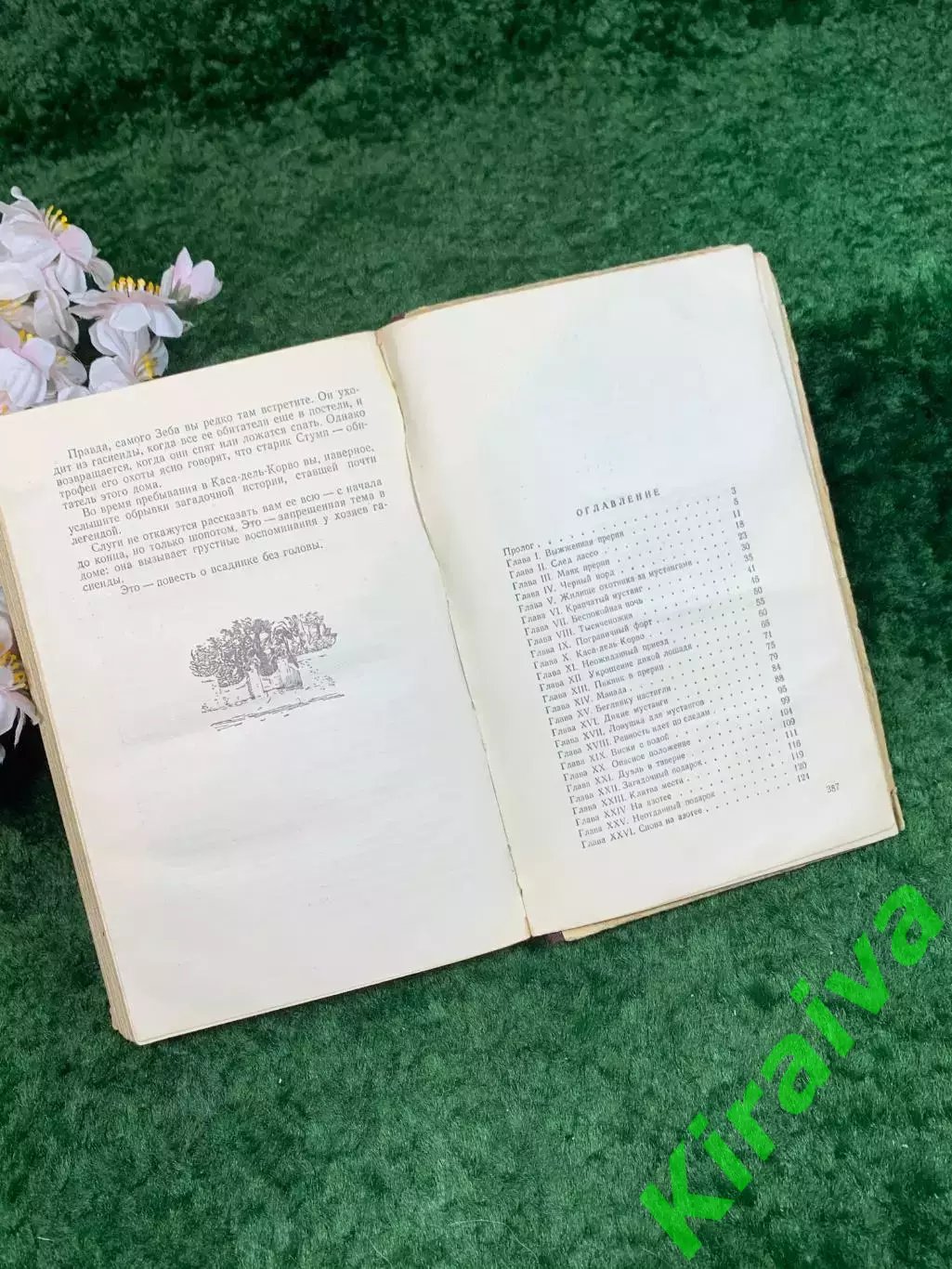 Книга приключенческий роман «Всадник без головы» Томас Майн Рид, 1955 г. (Н8312) 5