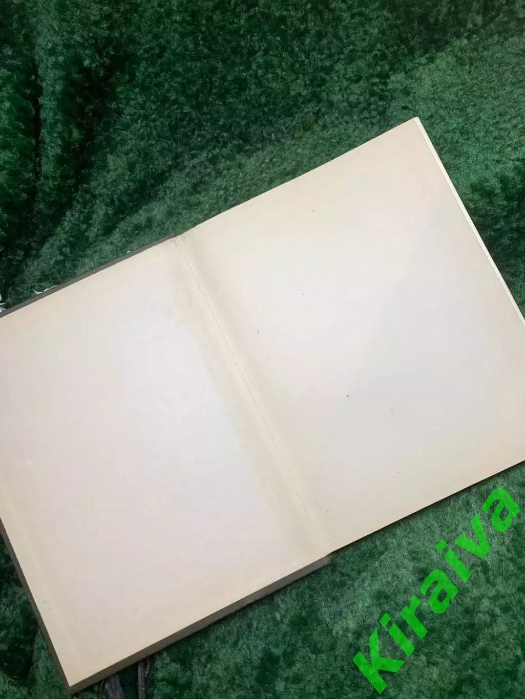 Книга «Популярная медицинская энциклопедия» под редакцией В.И. Покровского Н8321 1
