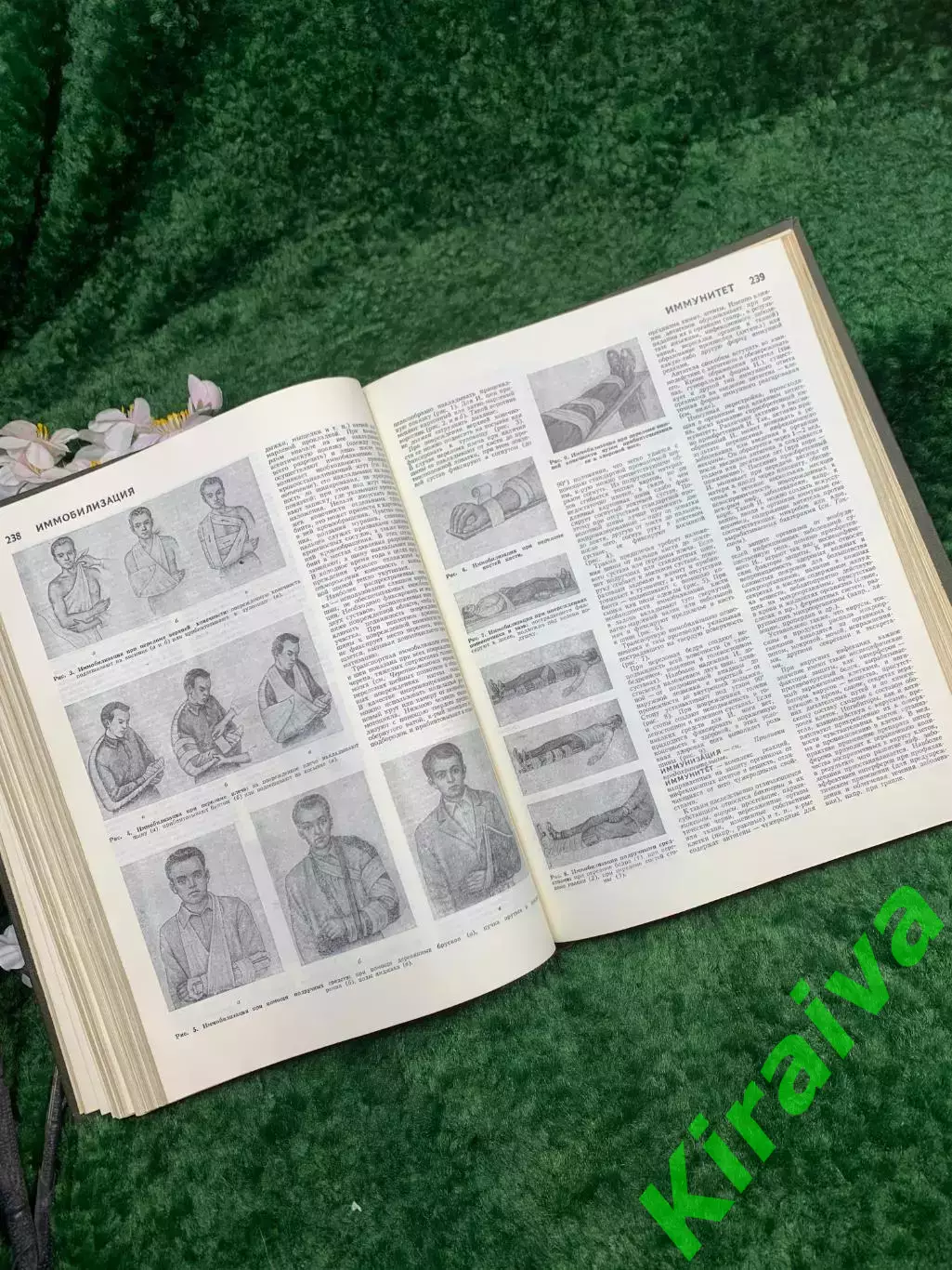 Книга «Популярная медицинская энциклопедия» под редакцией В.И. Покровского Н8321 6