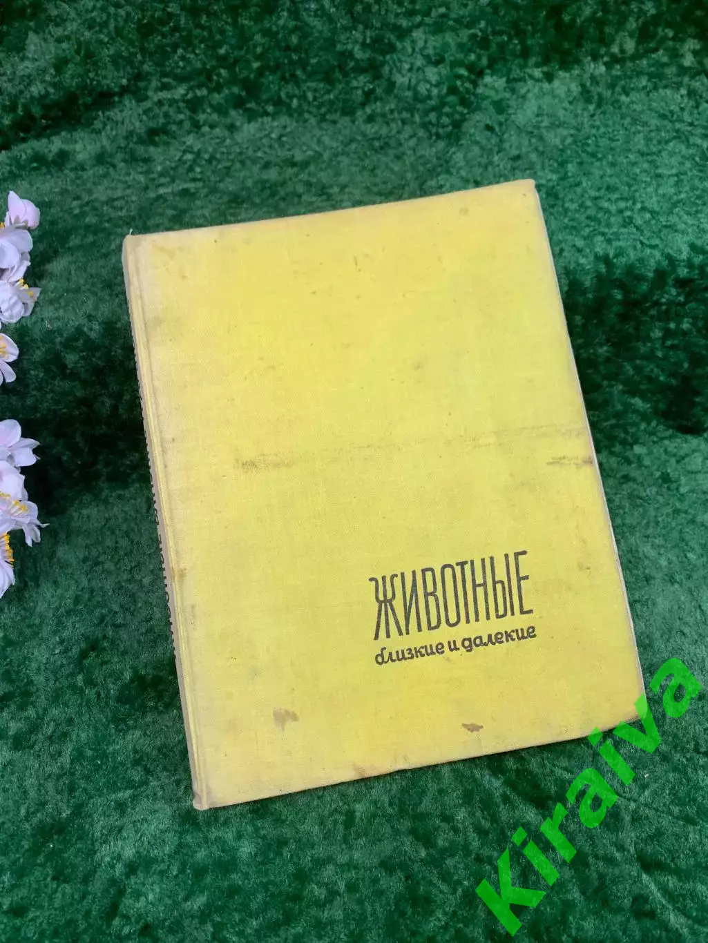 Книга-альбом «Животные близкие и далёкие» — Ян Стычинский, Ян Жабинский,Н8322