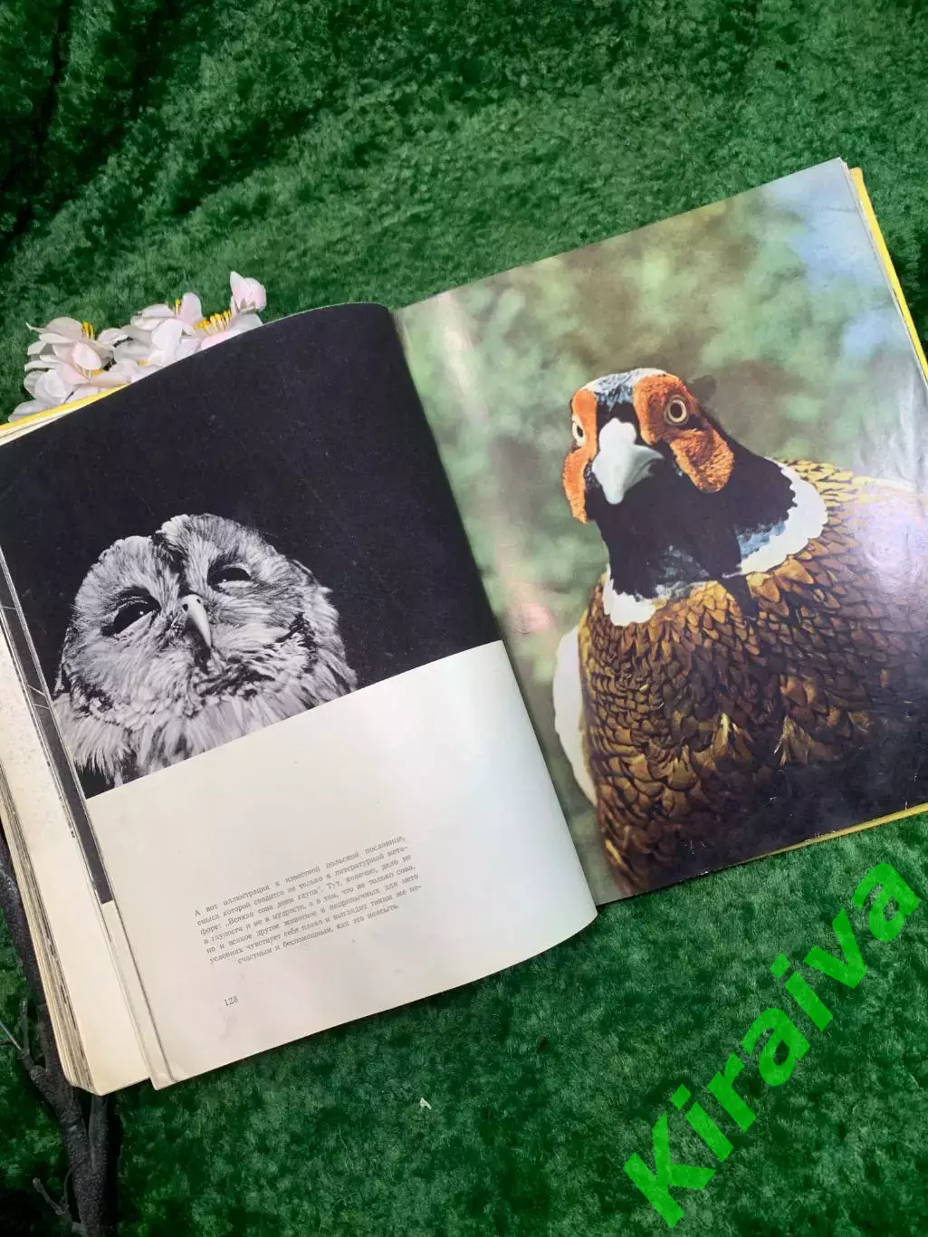 Книга-альбом «Животные близкие и далёкие» — Ян Стычинский, Ян Жабинский,Н8322 7