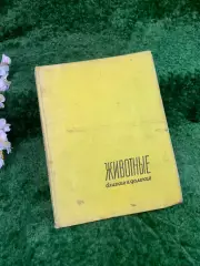 Книга-альбом «Животные близкие и далёкие» — Ян Стычинский, Ян Жабинский,Н8322