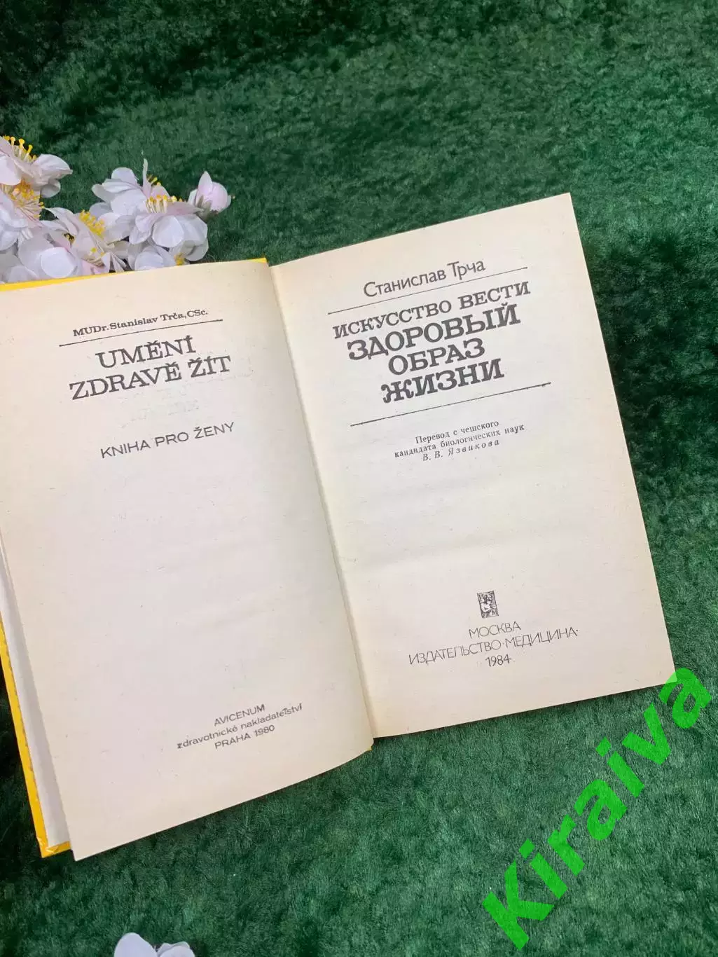 Книга «Искусство вести здоровый образ жизни» Станислав Трча «Медицина» Н8331 2