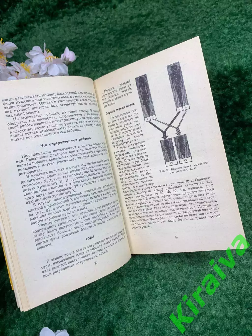 Книга «Искусство вести здоровый образ жизни» Станислав Трча «Медицина» Н8331 4