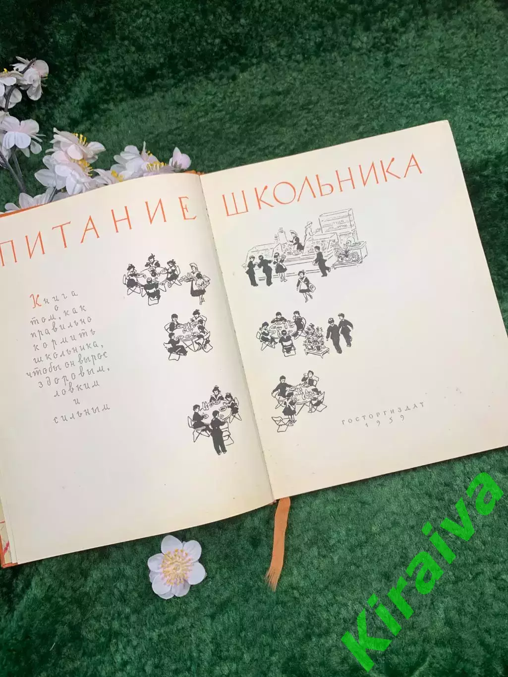 Книга основы питания «Питание школьника» Госторгиздат 1959 г. (Н8332) 3