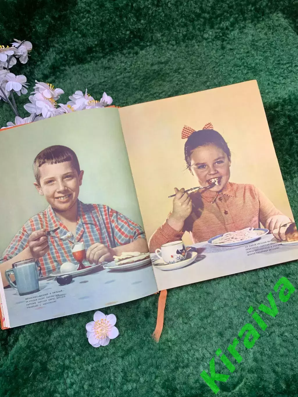Книга основы питания «Питание школьника» Госторгиздат 1959 г. (Н8332) 5