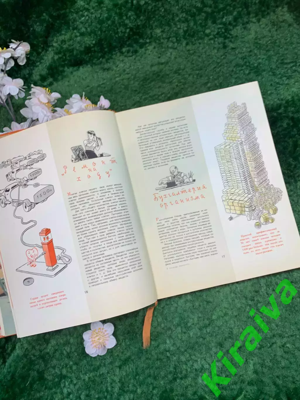 Книга основы питания «Питание школьника» Госторгиздат 1959 г. (Н8332) 6