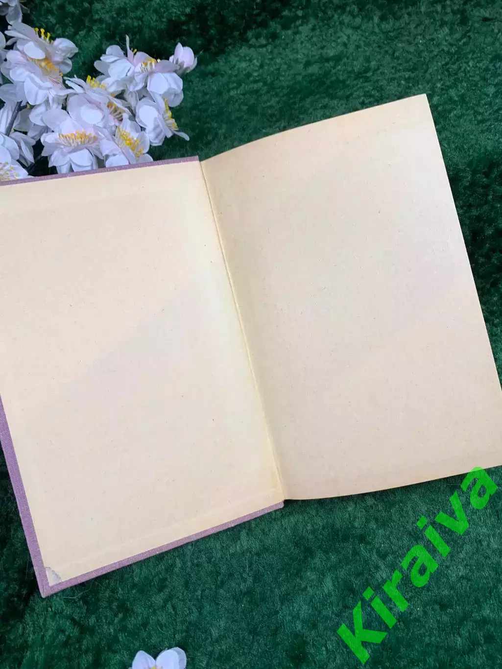 Книга учебное пособие «Дополнительные главы математического анализа» (Н8334) 1
