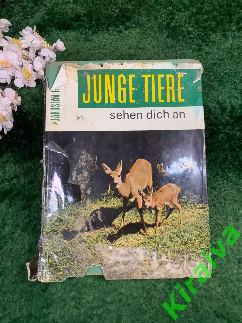 Фотоальбом «Junge Tiere sehen dich an» — Jaroslav Hole?ek, Artia, 1983 г. (Н8340