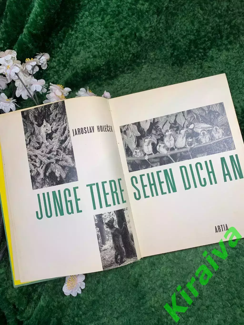 Фотоальбом «Junge Tiere sehen dich an» — Jaroslav Hole?ek, Artia, 1983 г. (Н8340 3