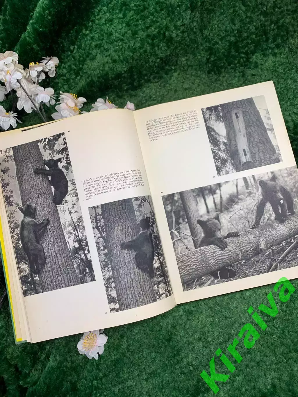 Фотоальбом «Junge Tiere sehen dich an» — Jaroslav Hole?ek, Artia, 1983 г. (Н8340 5
