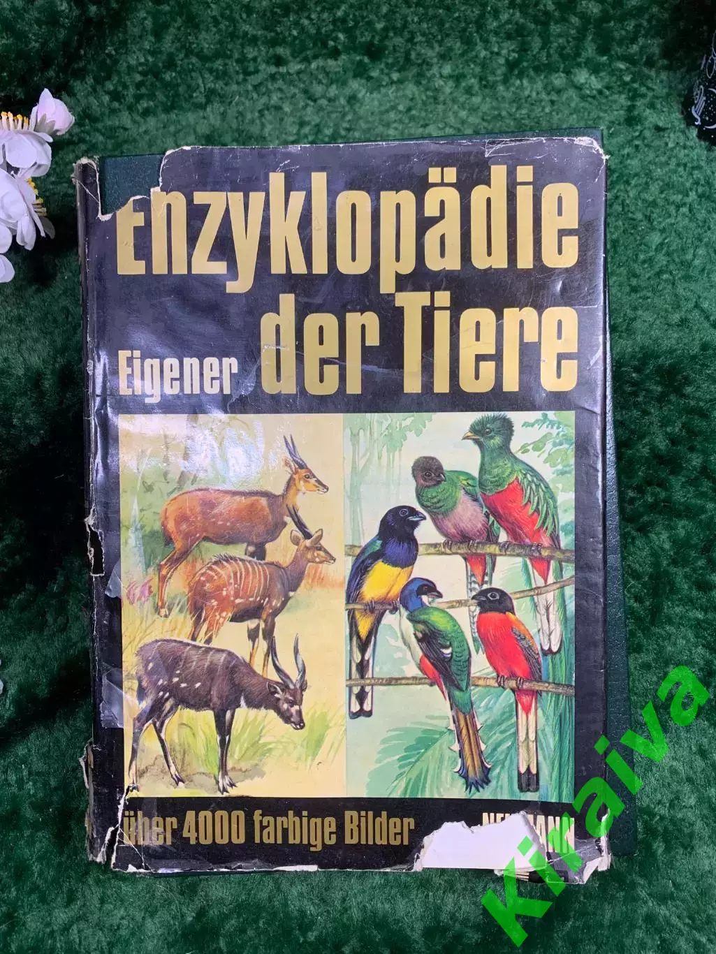 Книга-энциклопедия «Enzyklop?die der Tiere» Wilhelm Eigener, Neumann Verl (Н8341