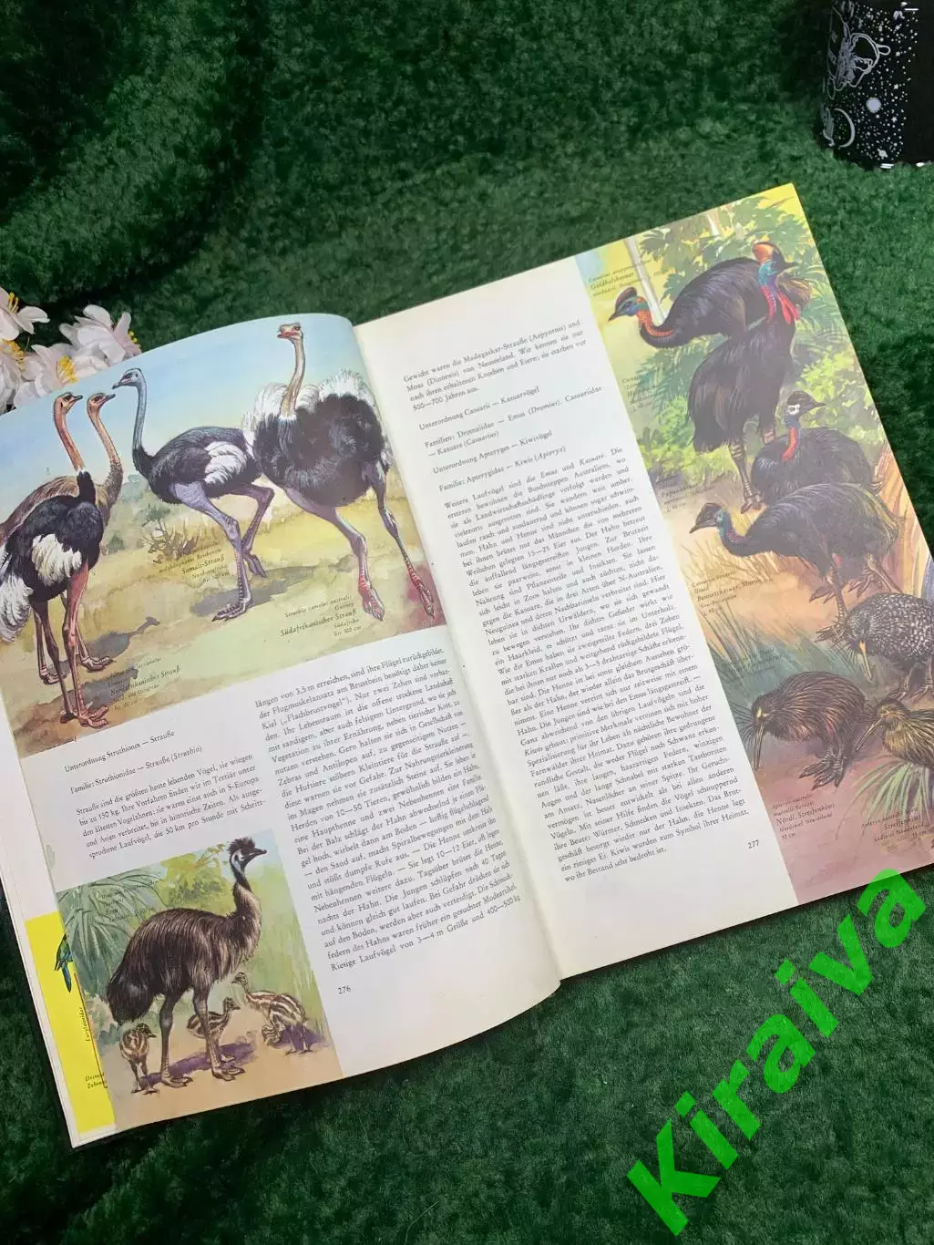 Книга-энциклопедия «Enzyklop?die der Tiere» Wilhelm Eigener, Neumann Verl (Н8341 3