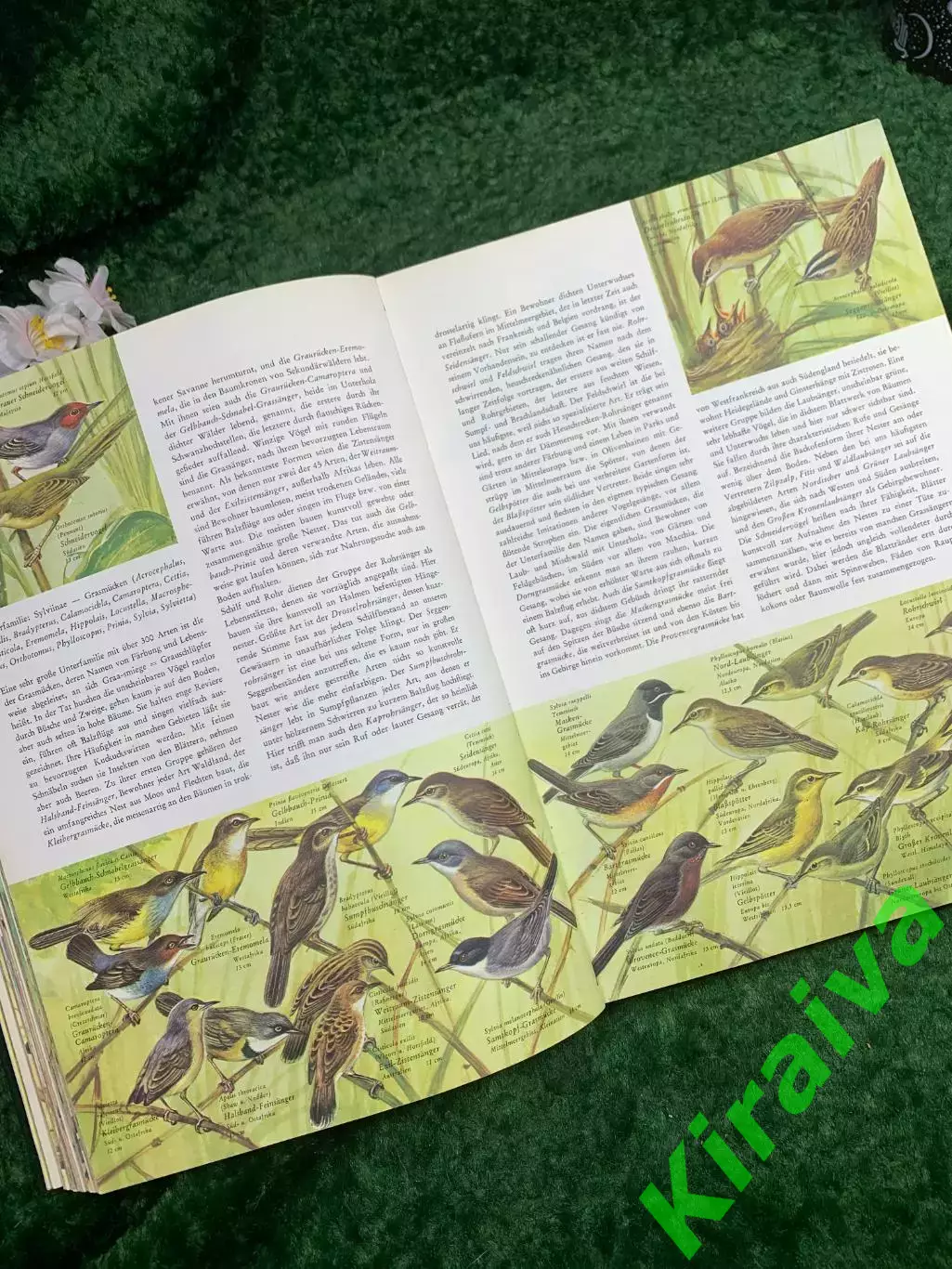 Книга-энциклопедия «Enzyklop?die der Tiere» Wilhelm Eigener, Neumann Verl (Н8341 4