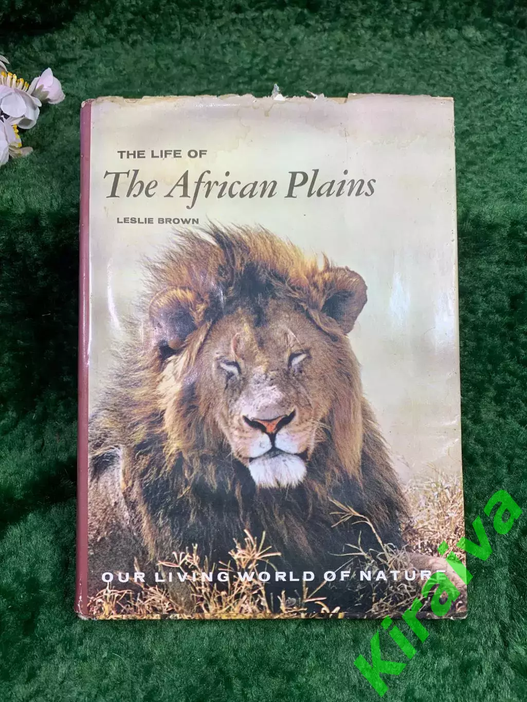 Книга о дикой природе «The Life of the African Plains» — Leslie Brown, Mc (Н8342