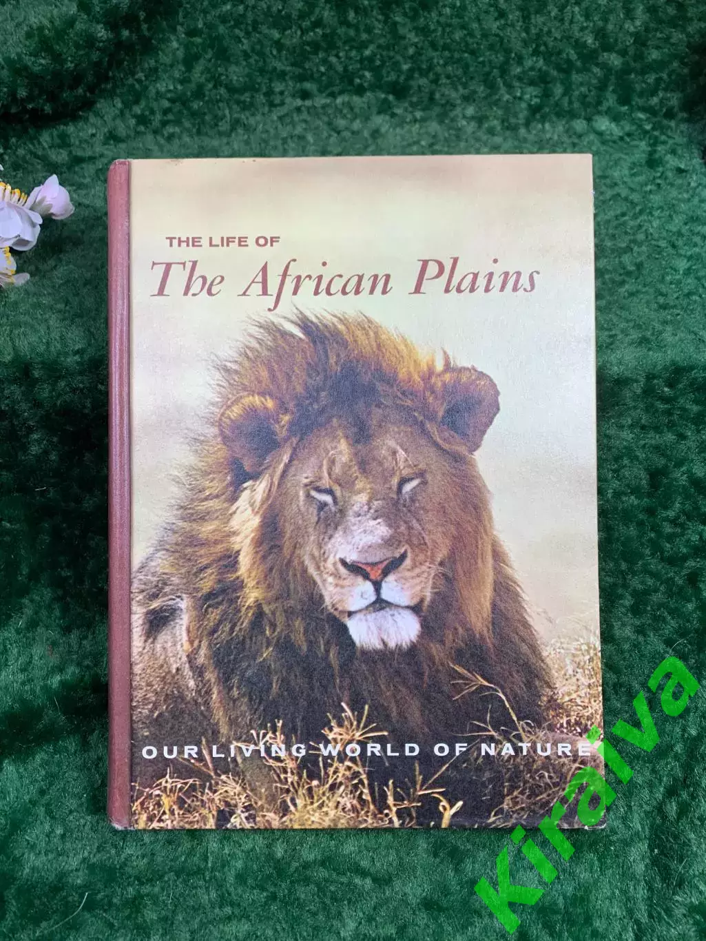Книга о дикой природе «The Life of the African Plains» — Leslie Brown, Mc (Н8342 1