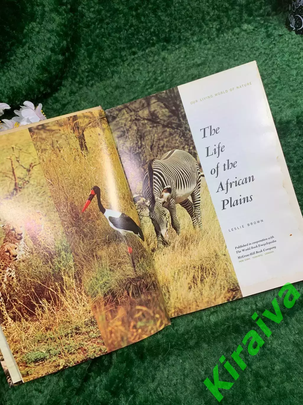 Книга о дикой природе «The Life of the African Plains» — Leslie Brown, Mc (Н8342 4