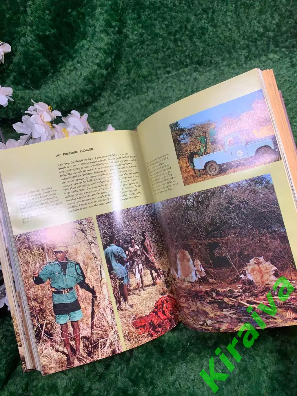 Книга о дикой природе «The Life of the African Plains» — Leslie Brown, Mc (Н8342 5