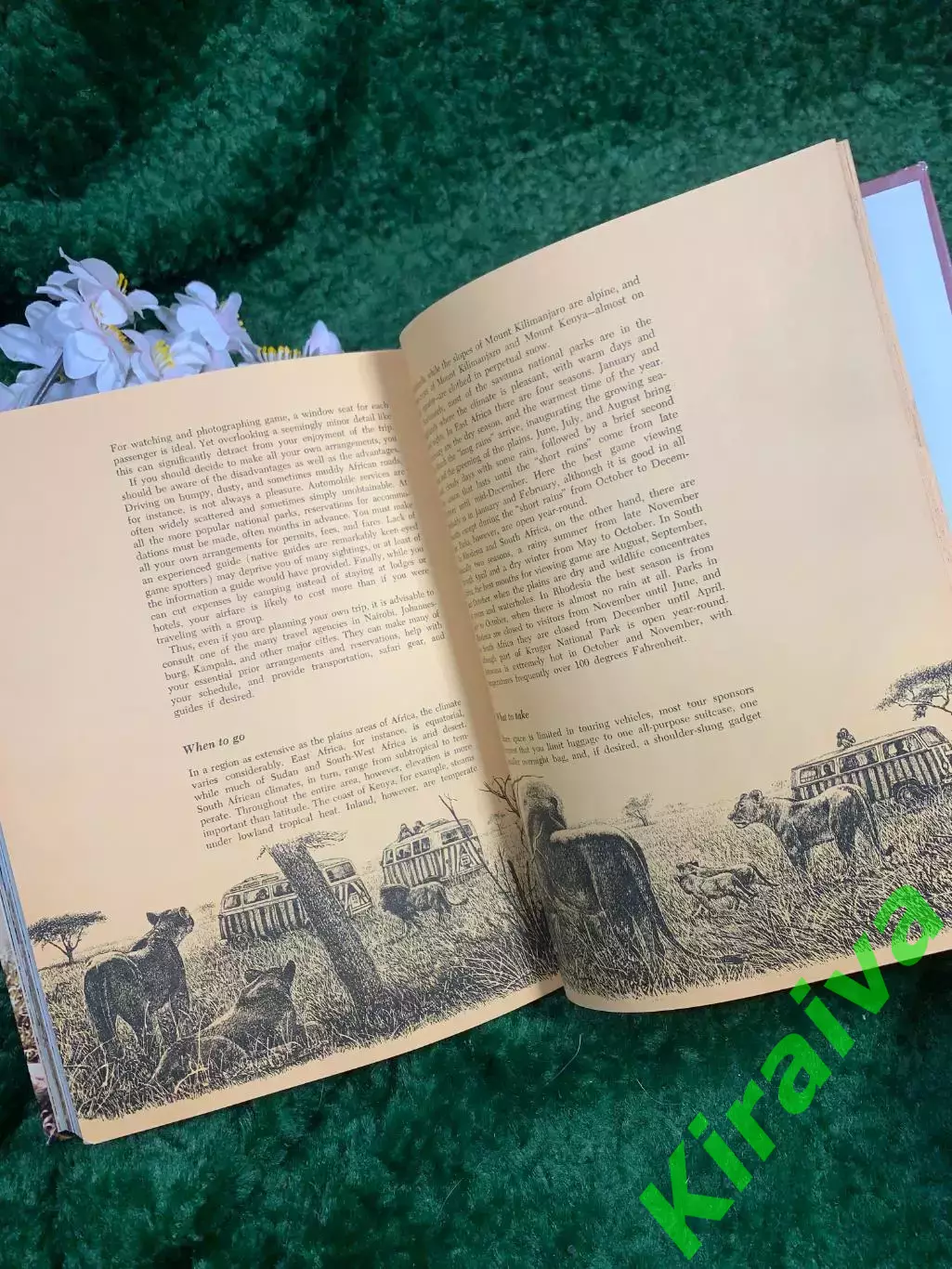 Книга о дикой природе «The Life of the African Plains» — Leslie Brown, Mc (Н8342 6